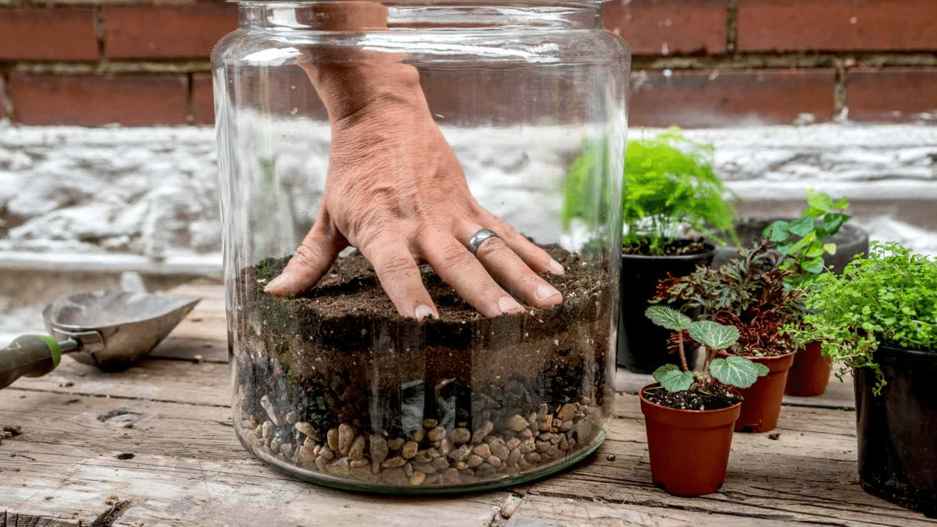 DIY Terrarium Building