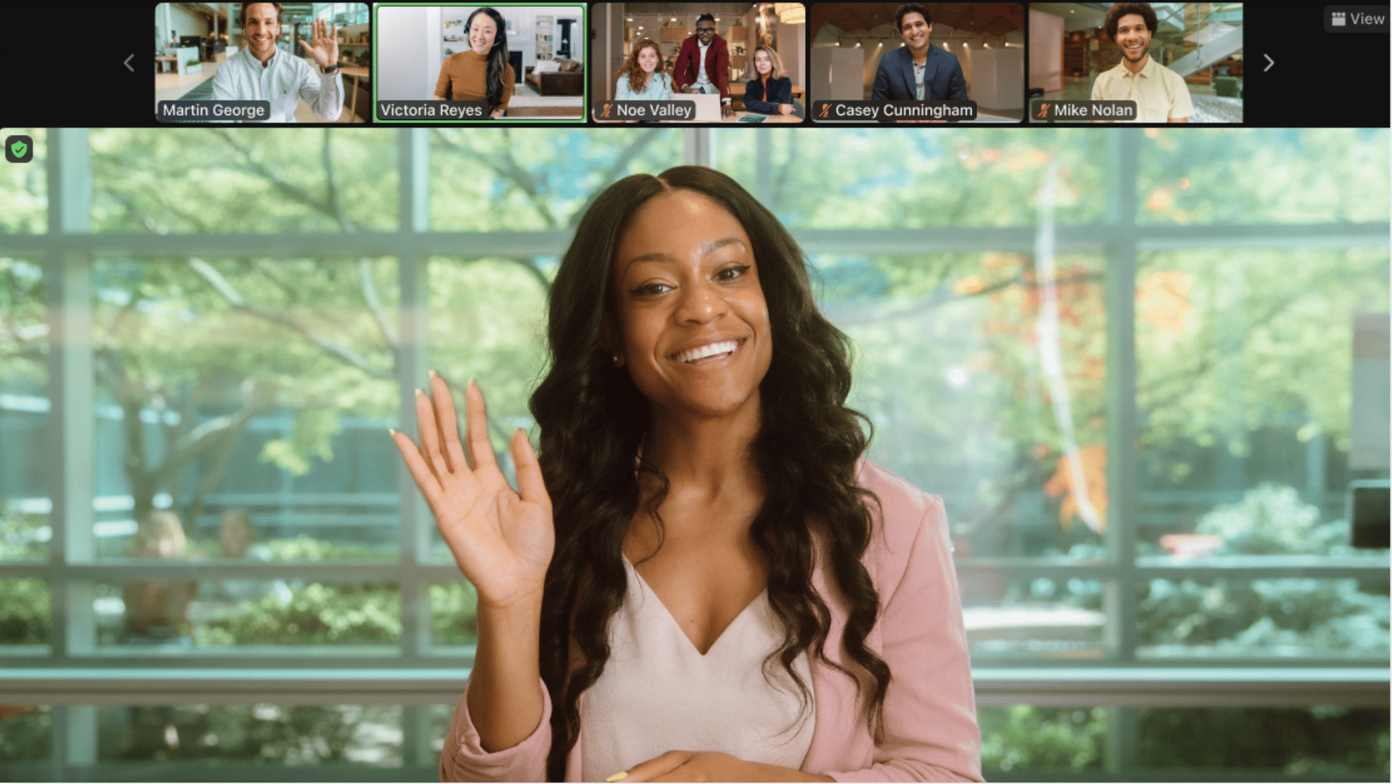 Zoom Webinars
