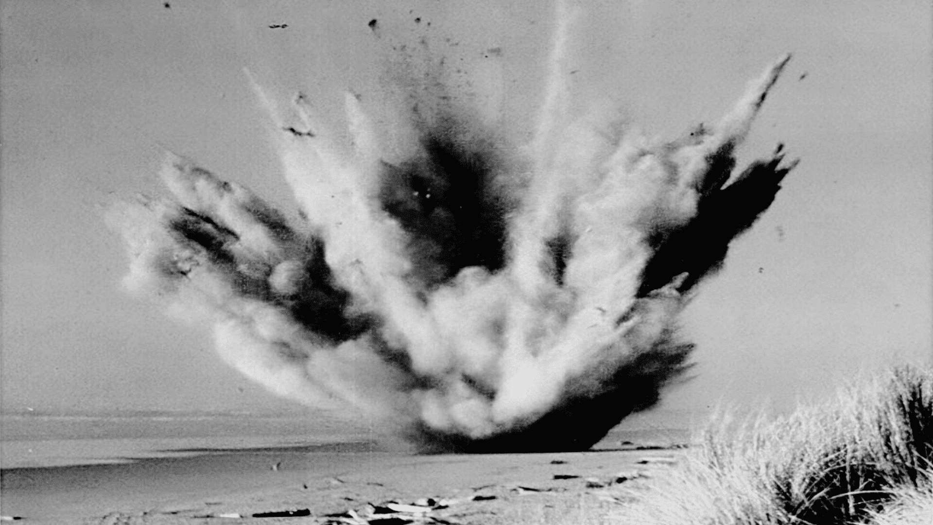 Exploding Whale Incident (1970 – Oregon)