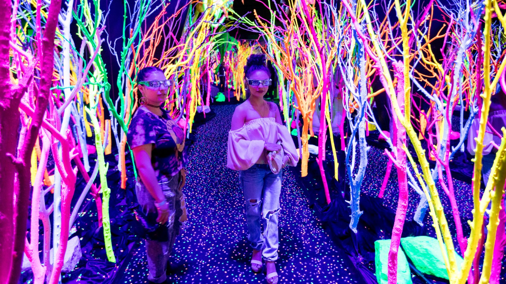 Immersive Themed Installations