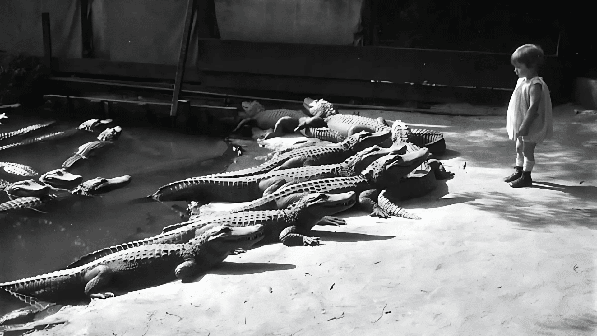 Los Angeles Alligator Farm Picnics (1907-1953)