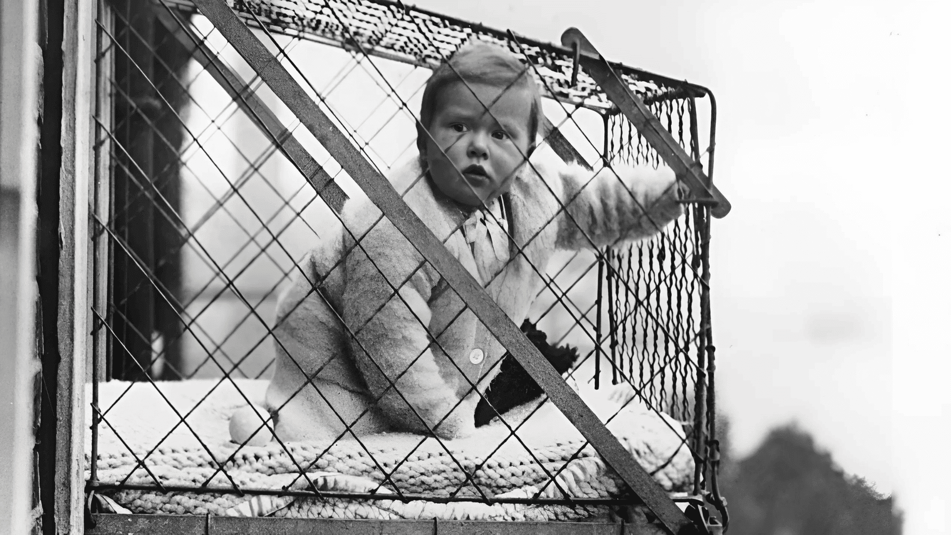 The Suspended Baby Cages (1930s)