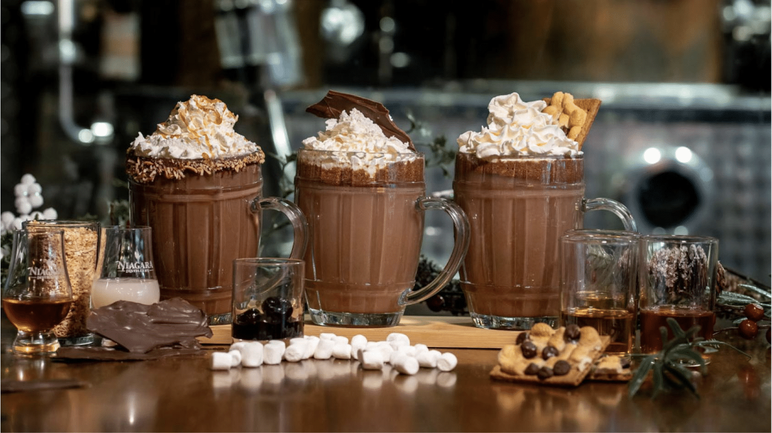 Winter Cocoa Social and Light Tour