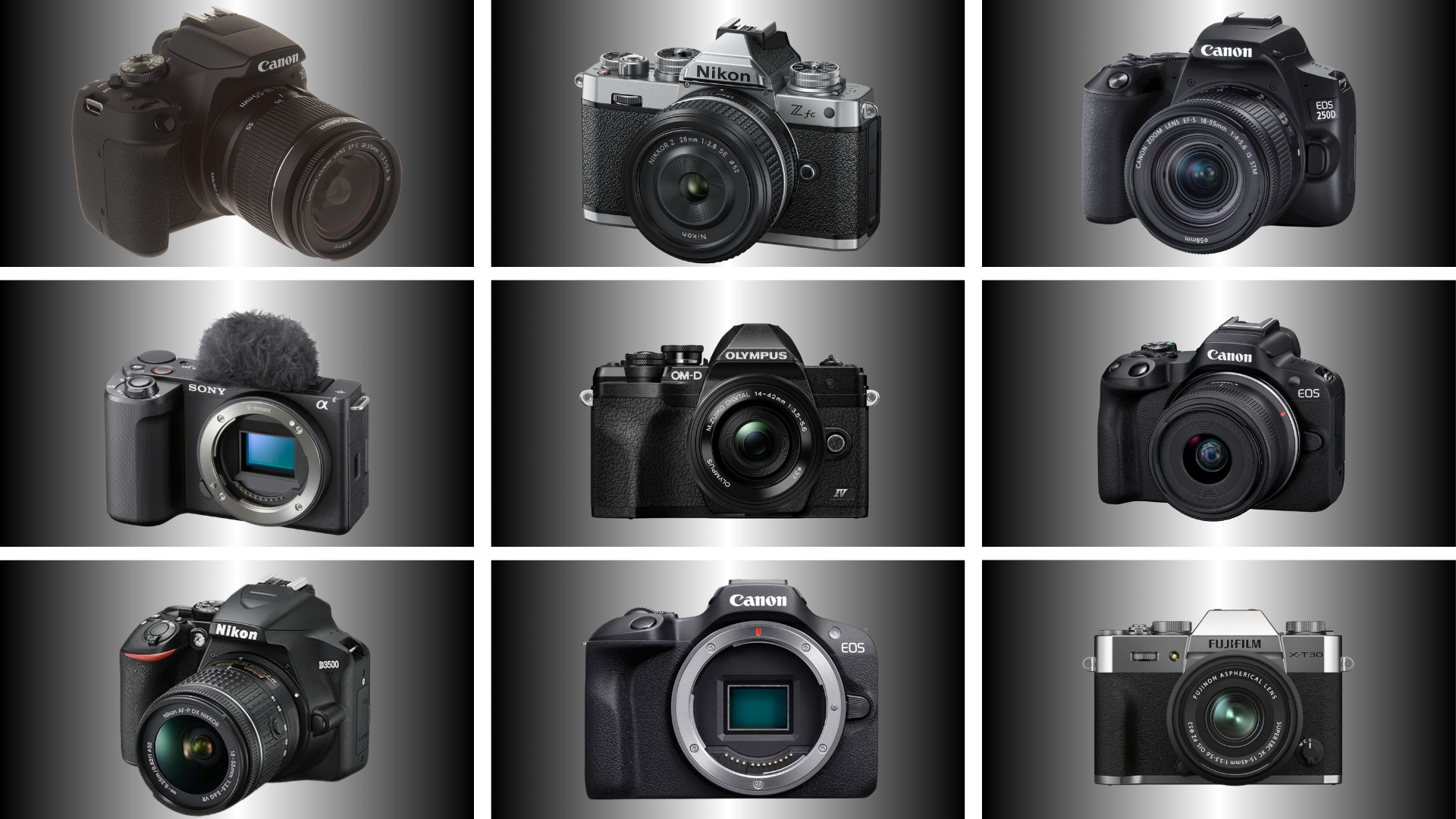 budget friendly cameras for beginnners
