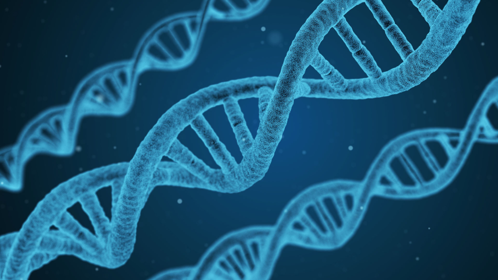 ethics in genetic engineering featured