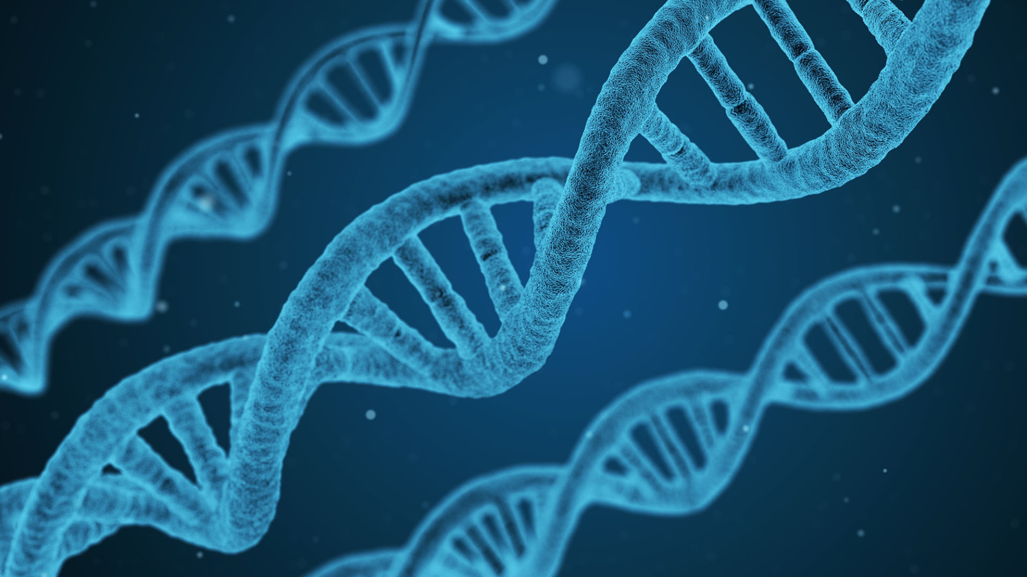 ethics in genetic engineering featured