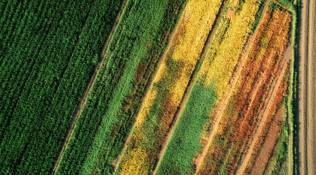How Drones Are Used in Agriculture? - Boomset
