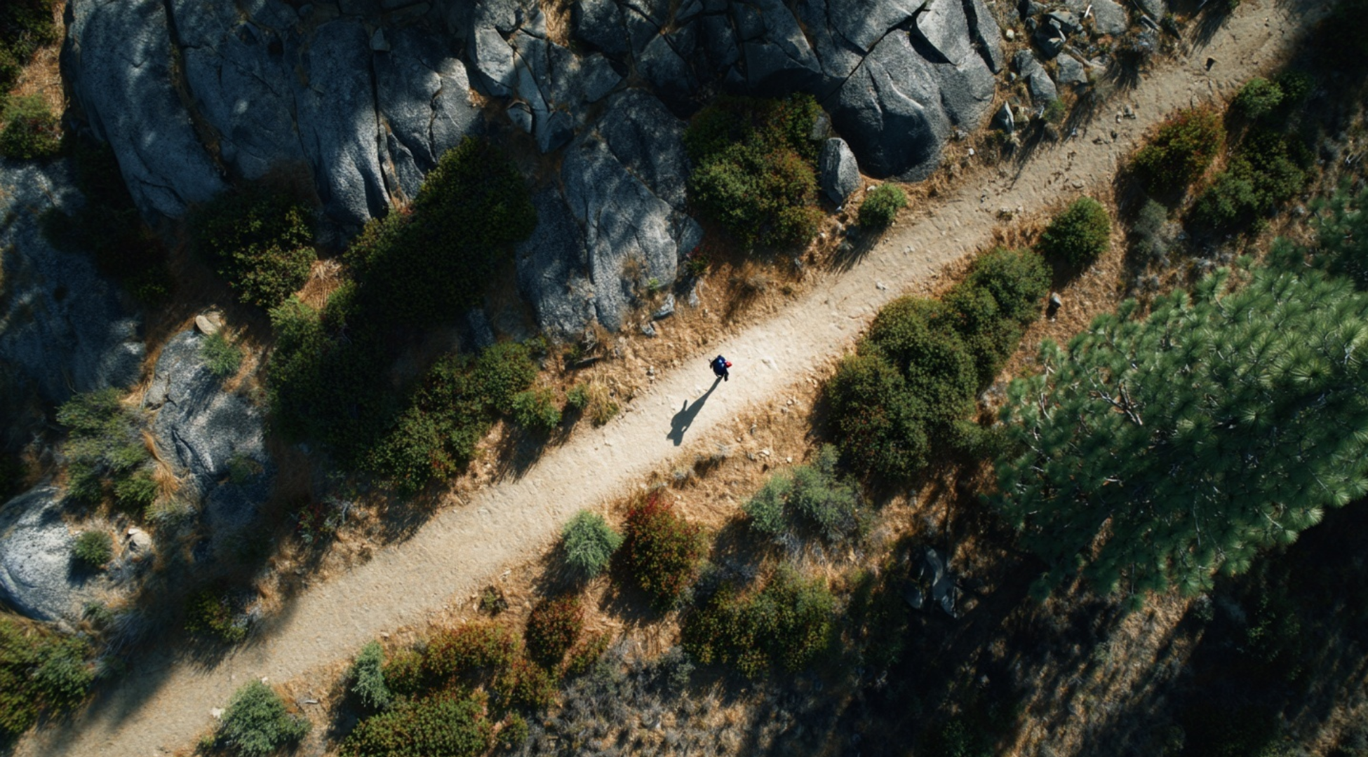 use natural and intentional camera movements
