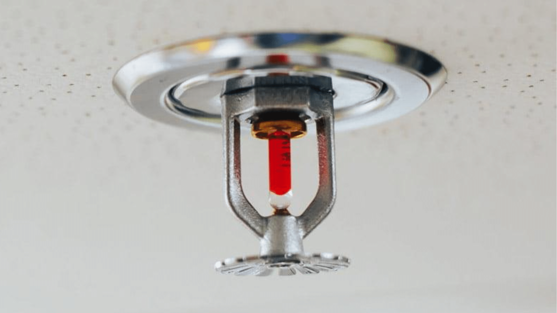 FIRE SPRINKLER