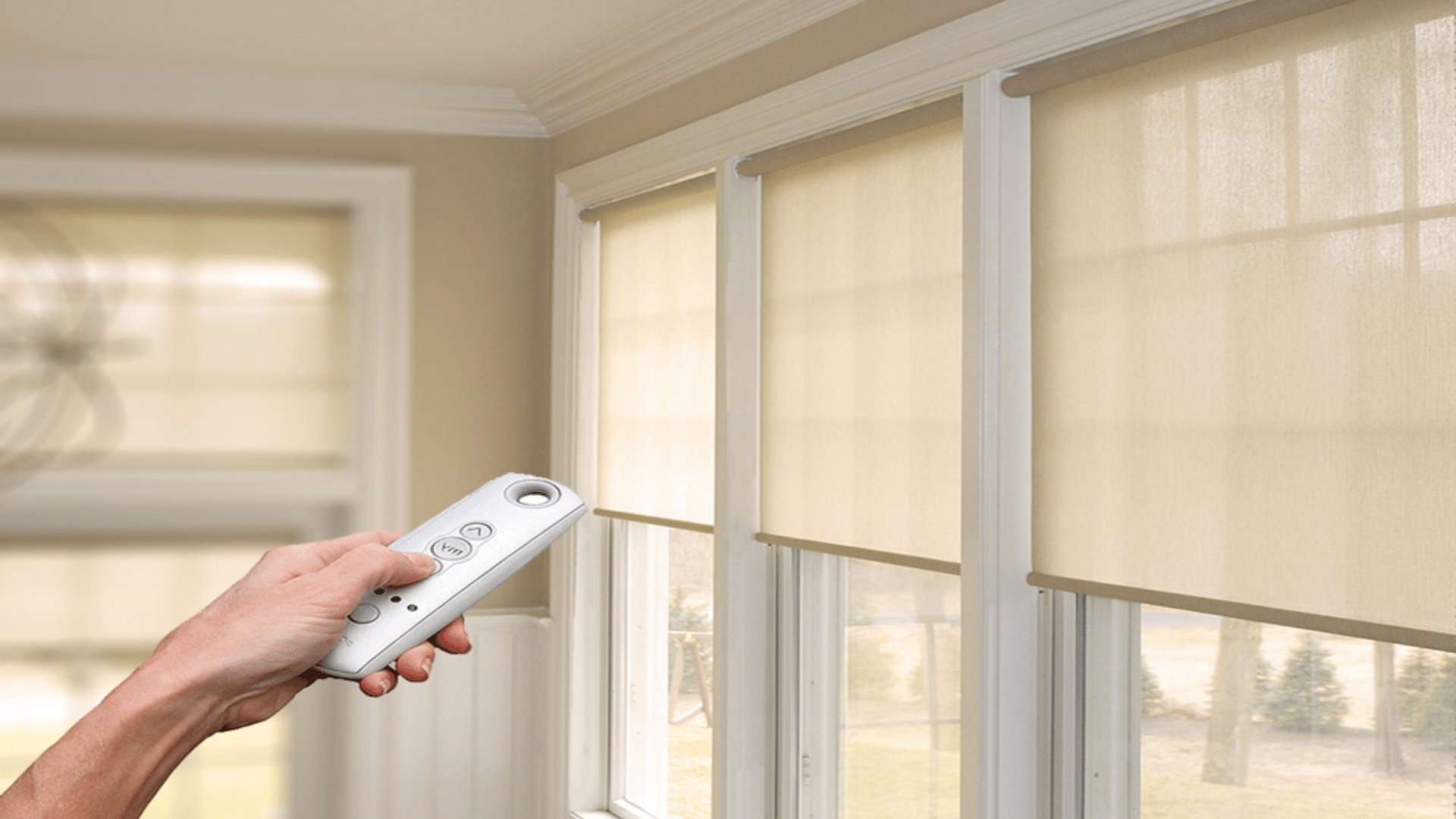 automated blinds and curtains