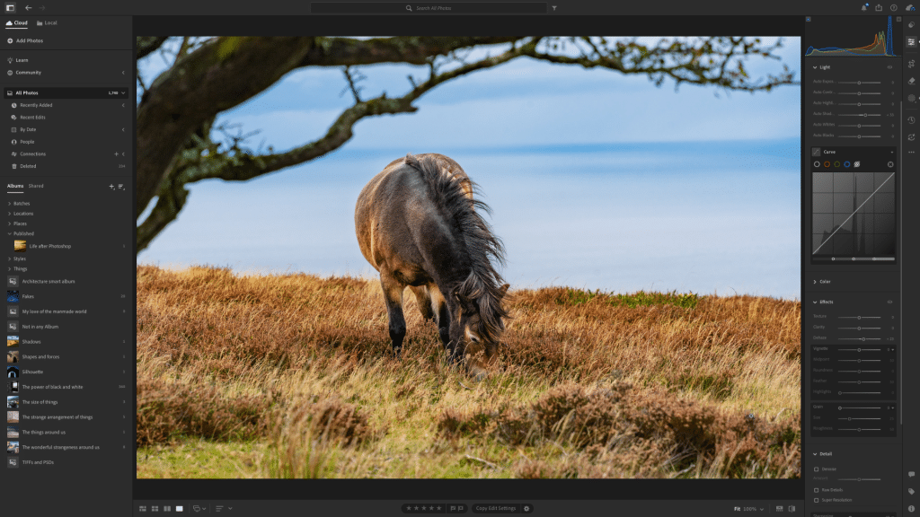 best software for photo editing