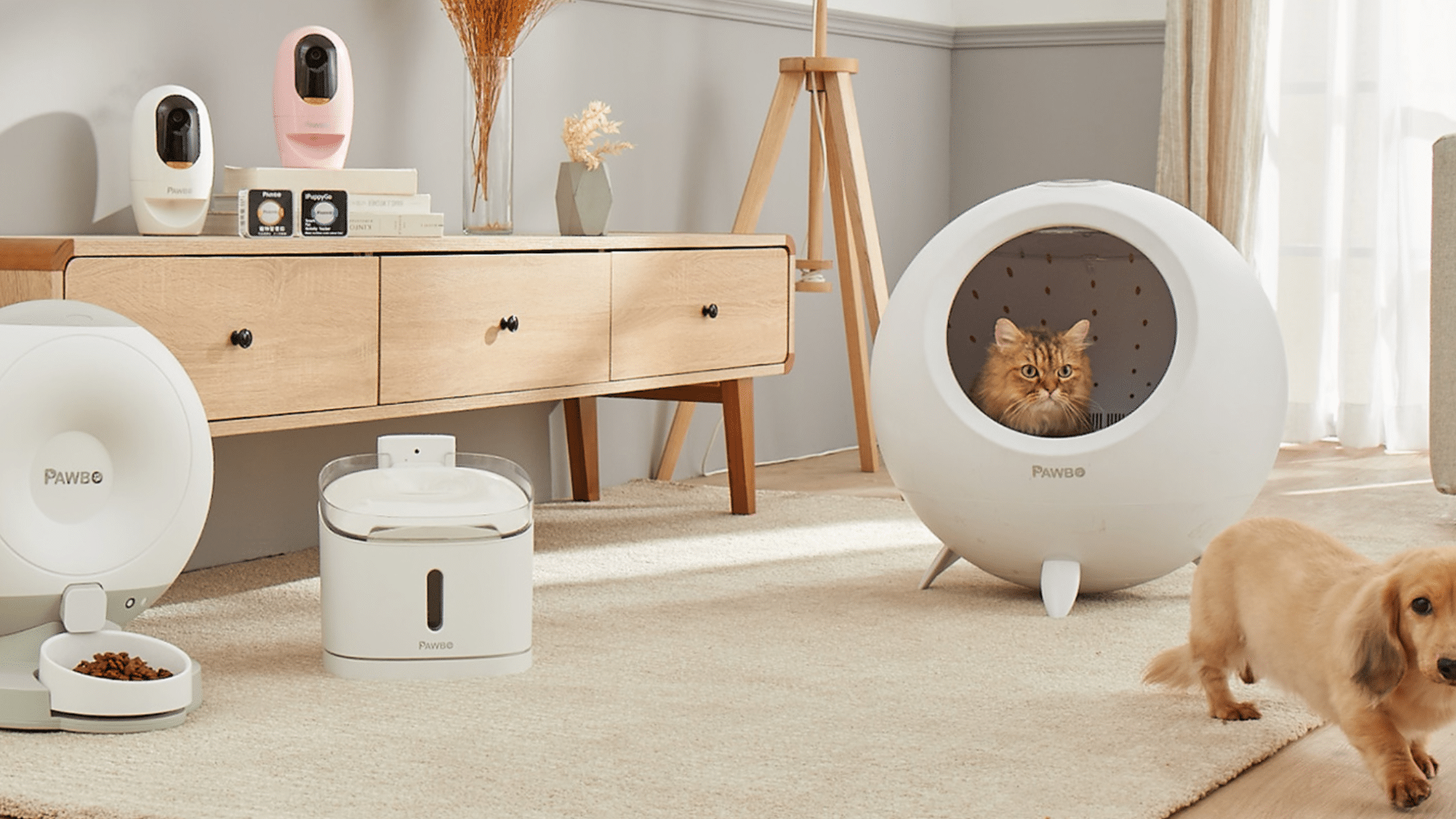 smart pet care systems
