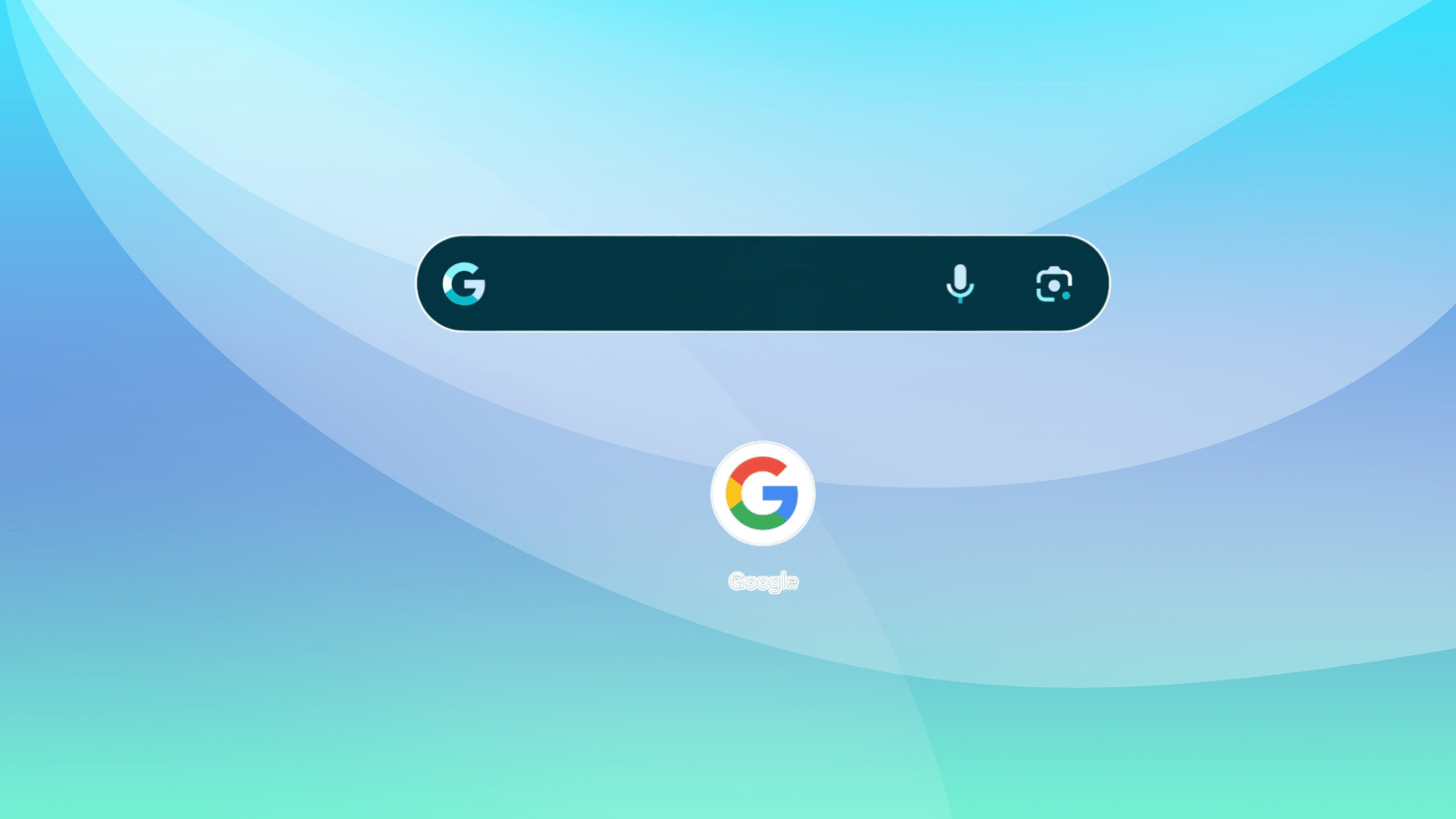 Google and Wikipedia Widgets