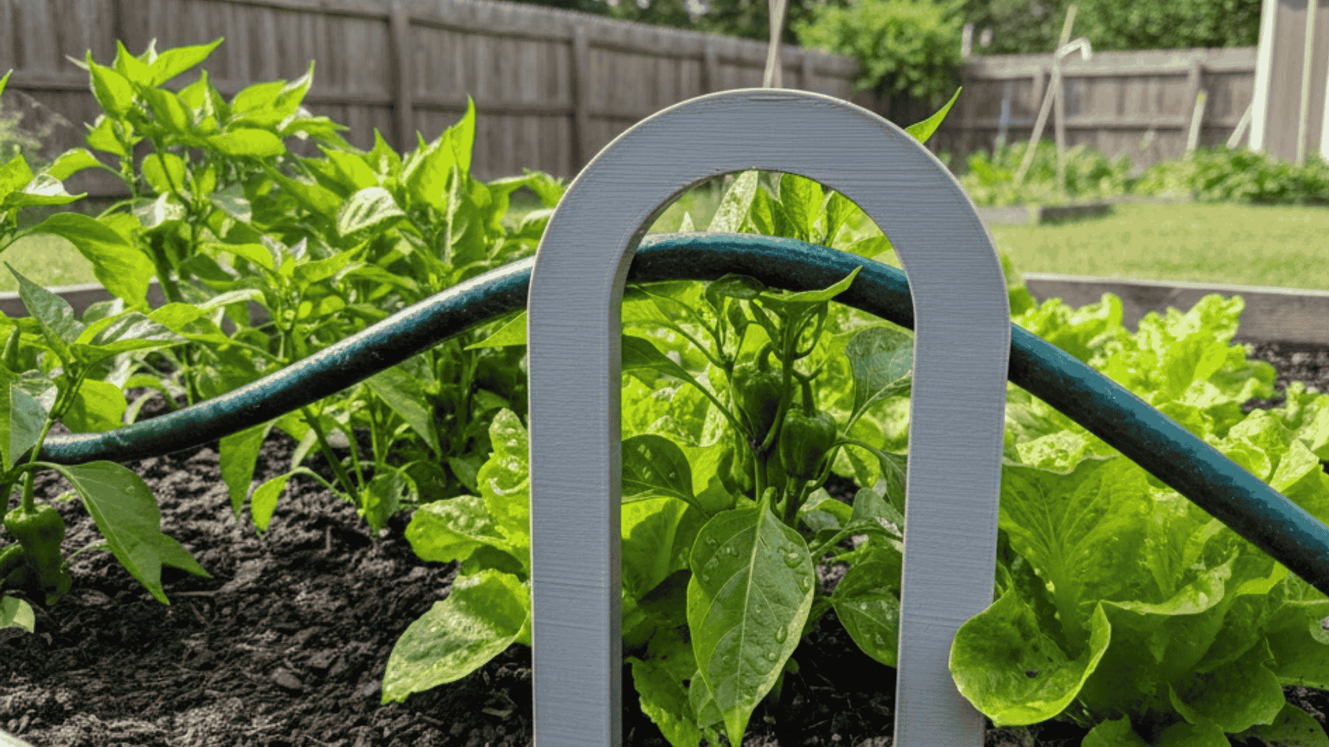 Hose Guides for Watering