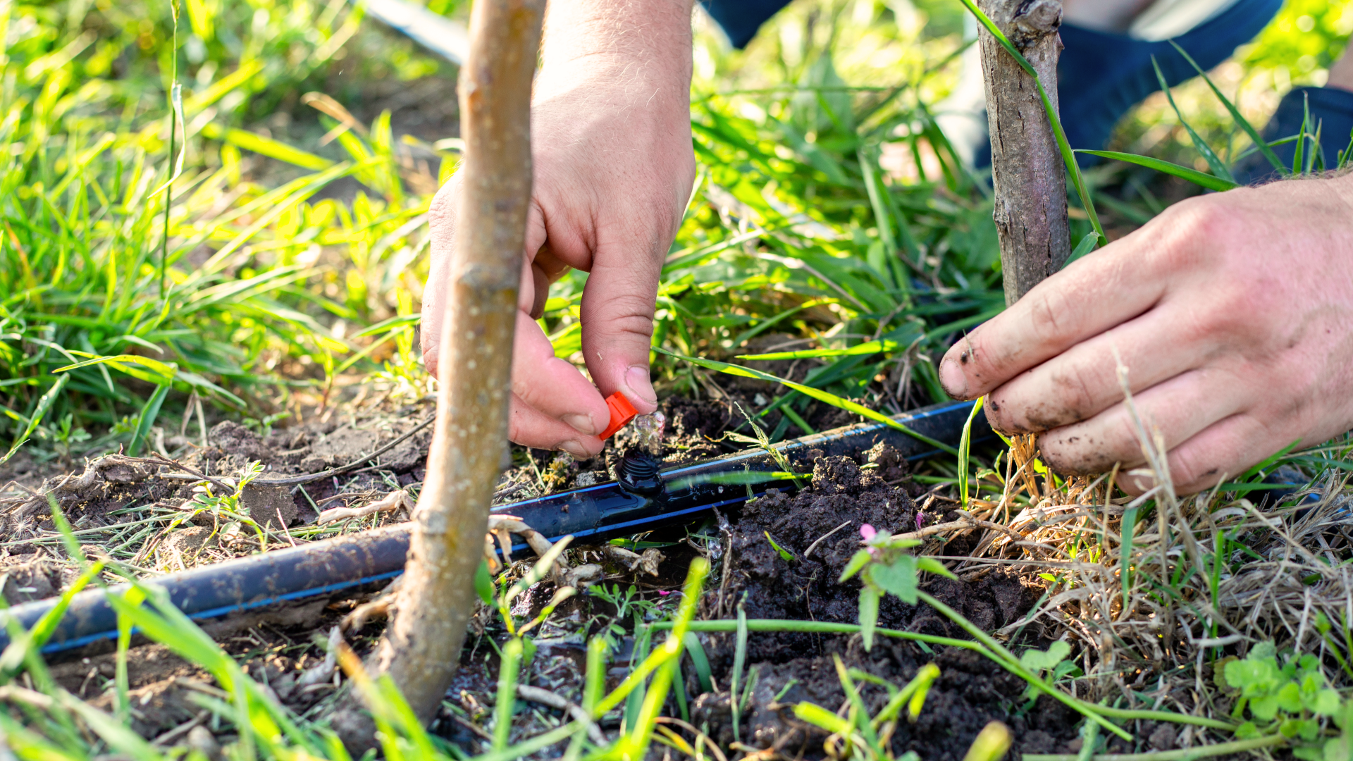 sprinkler system installation cost (1)