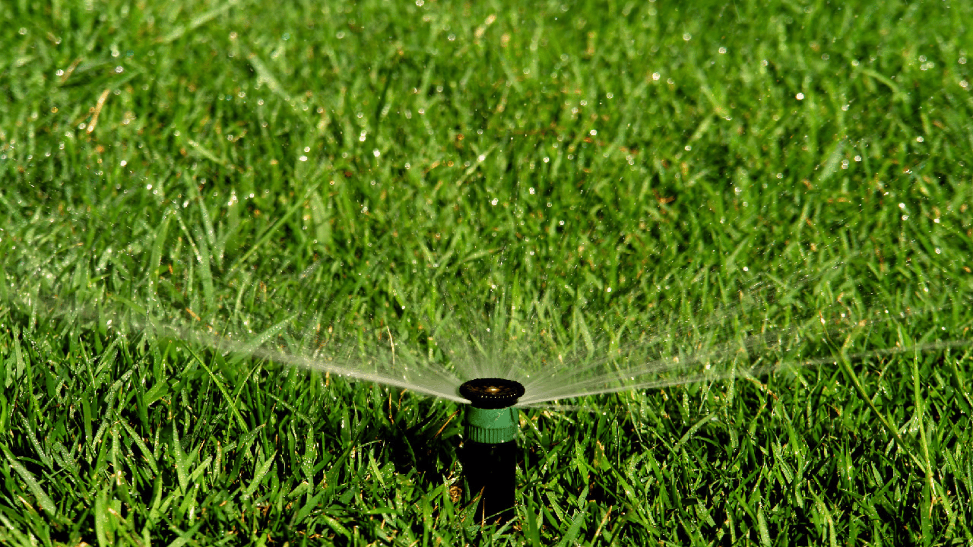 sprinkler system installation cost-featured image