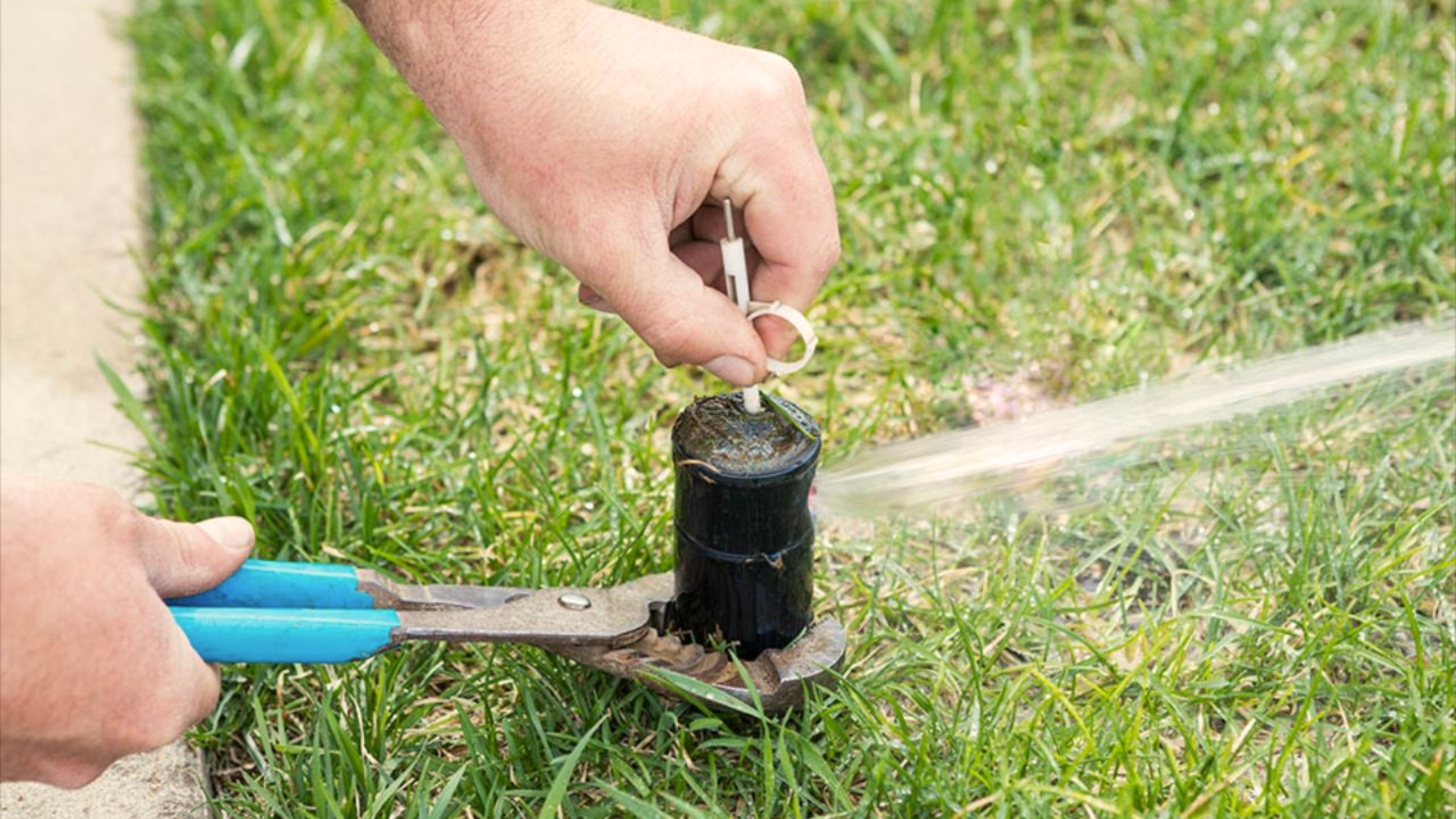 sprinkler system installation cost