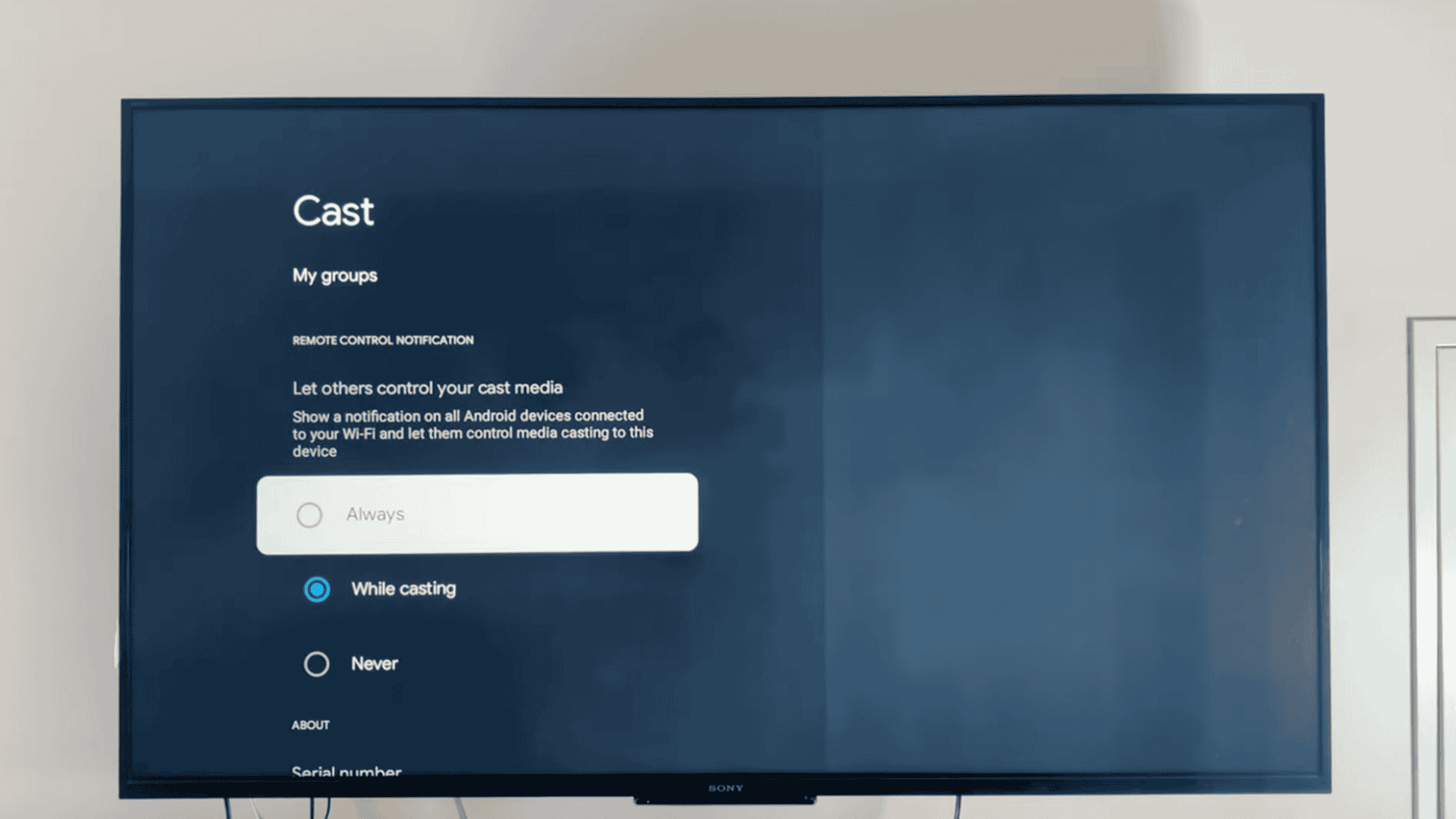 step 3 turn on cast in google tv settings
