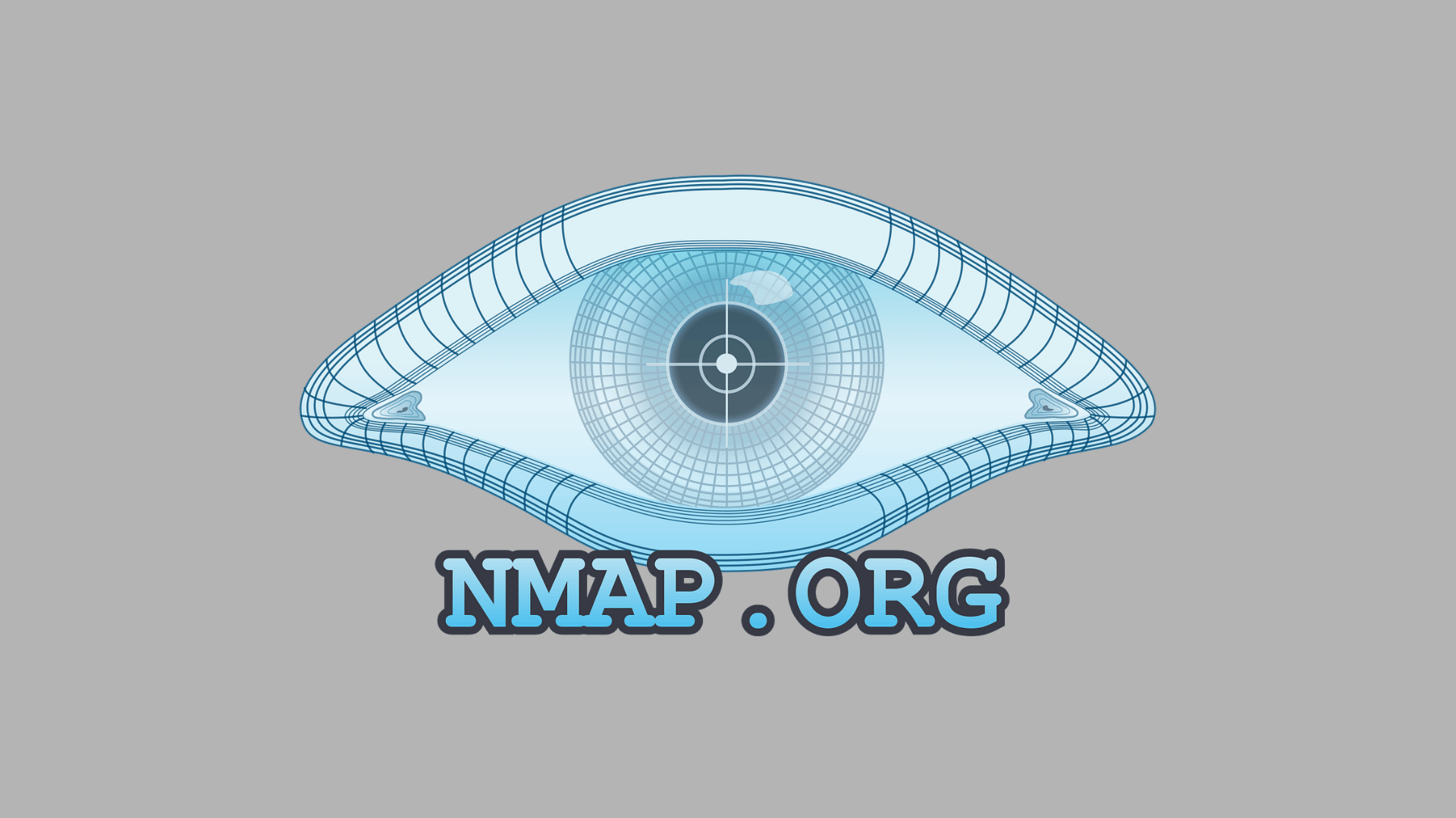Nmap logo with stylized eye and radar grid symbolizing network scanning, host discovery, and port analysis tool
