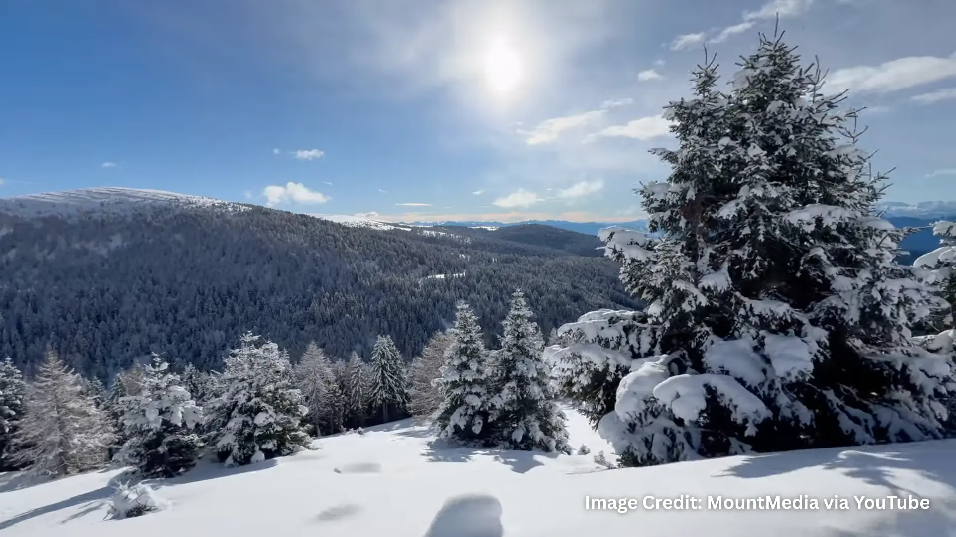 Scenic photography of snow covered pine trees across mountain landscape captured during videography on iPhone 16 Pro Max Camera
