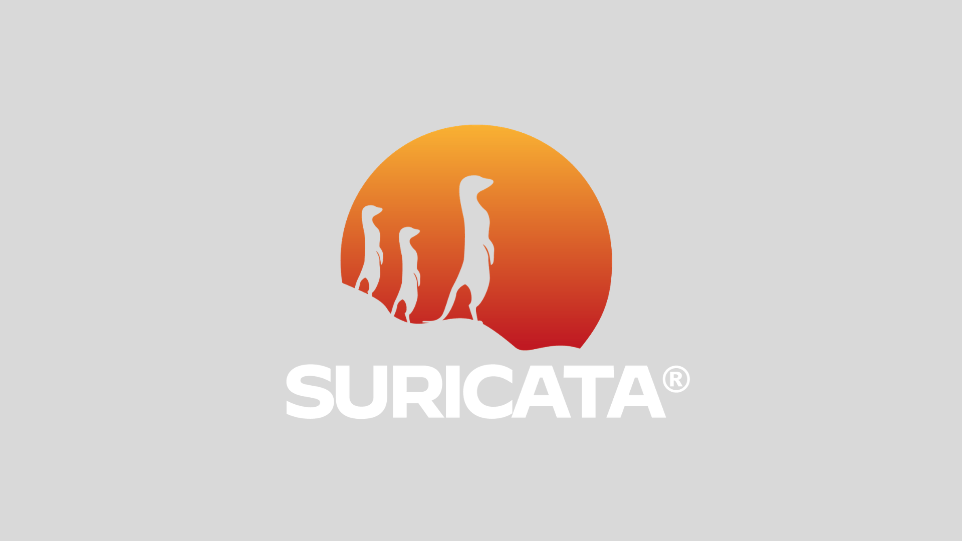 Suricata logo with three meerkats against orange sunset representing open source intrusion detection