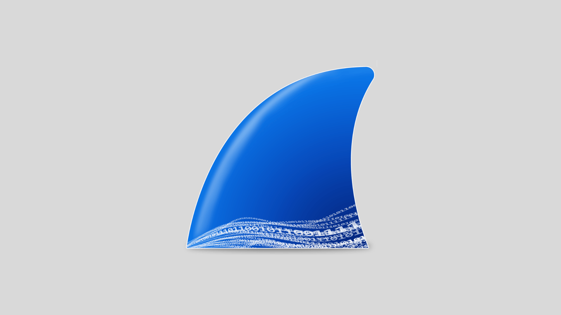 Wireshark logo with blue shark fin shape and binary code pattern representing packet capture