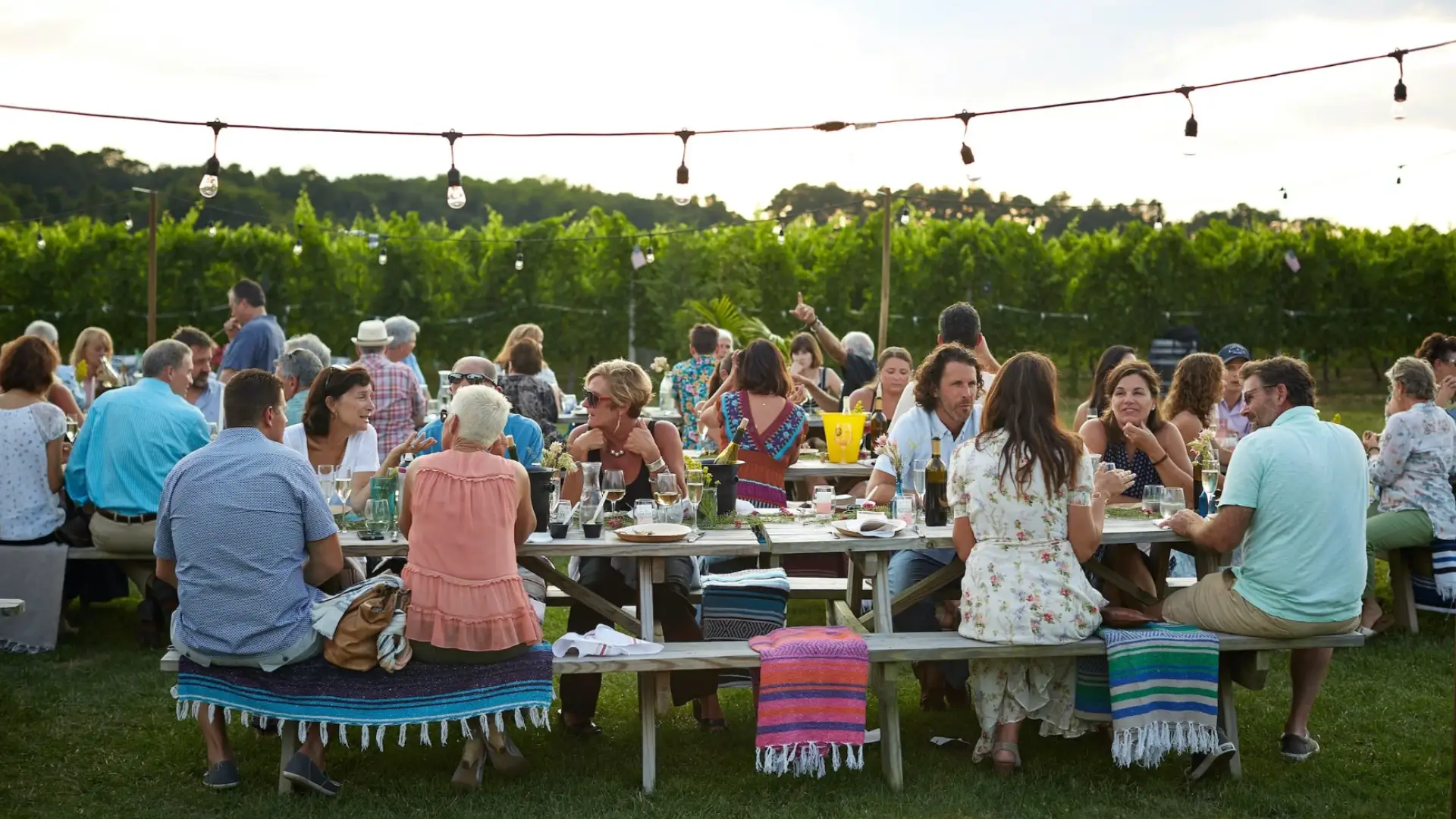 Group enjoying outdoor reunion gathering with long tables, food, and drinks in scenic vineyard setting