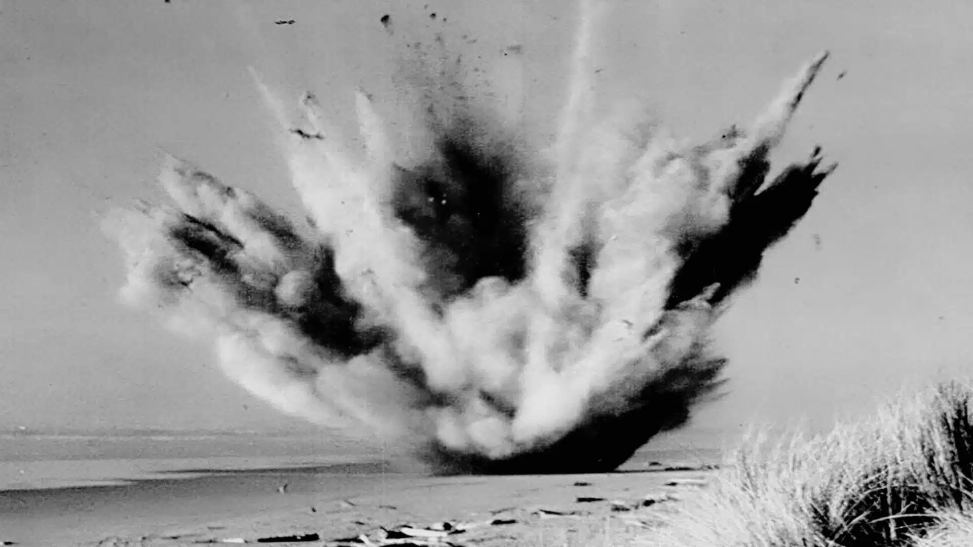 Exploding Whale Incident captured as massive blast sends debris and sand skyward along coastal beach
