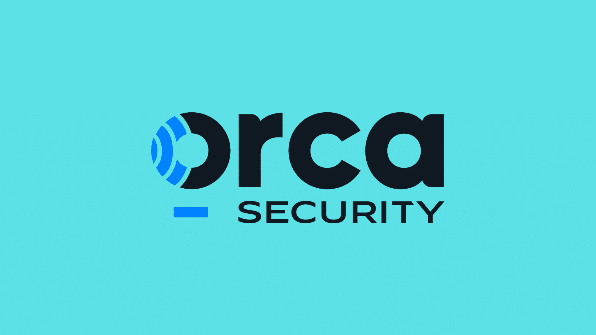 Orca Security logo with stylized blue and black icon on the left and black text on a white background