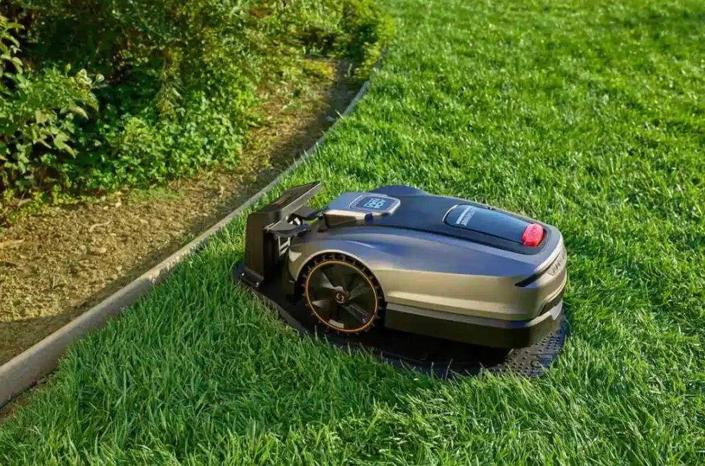 Robot lawn mower on green grass lawn next to garden border in daylight
