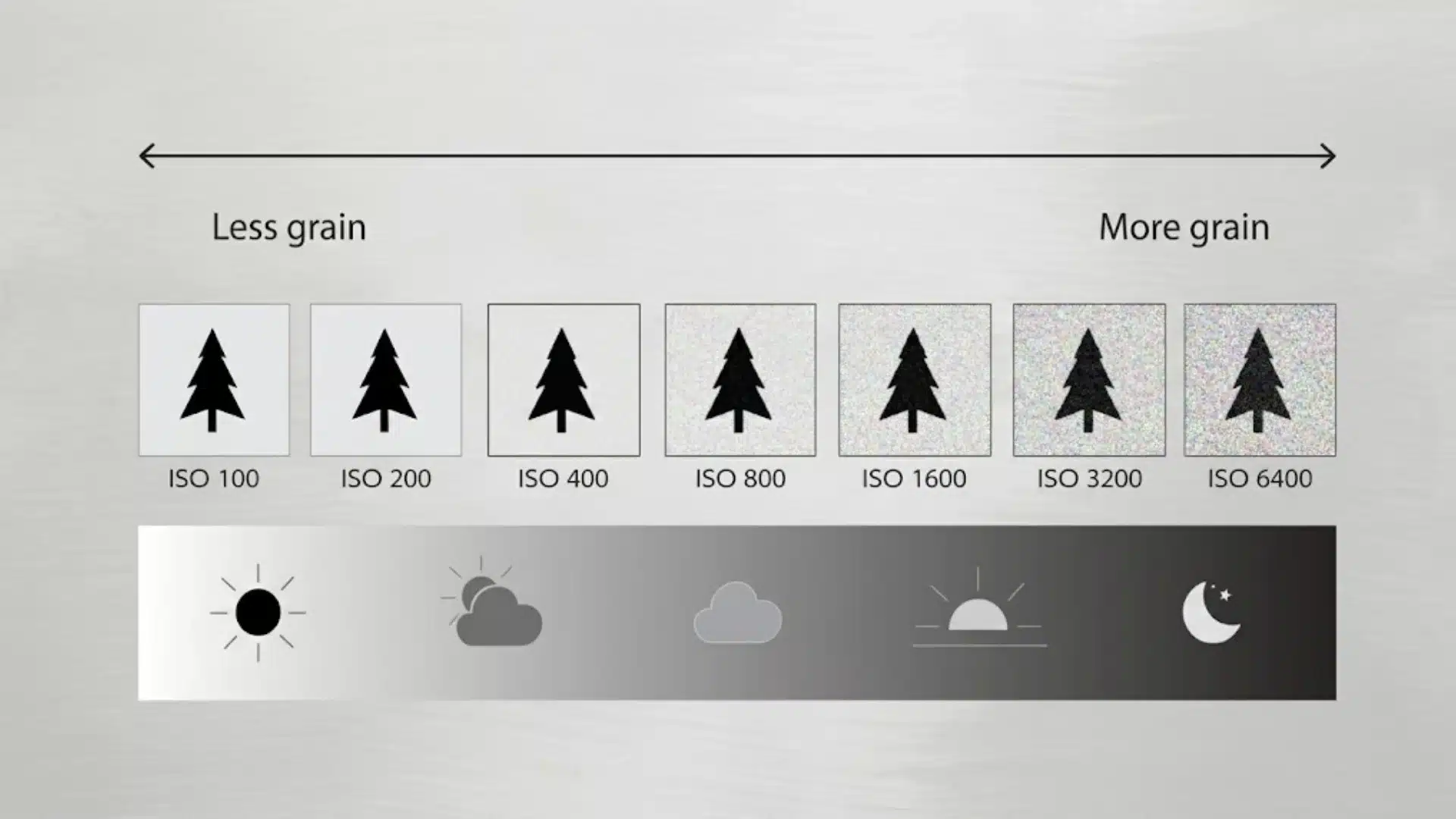 ISO chart showing low to high grain levels from ISO 100 to ISO 6400 in different lighting conditions