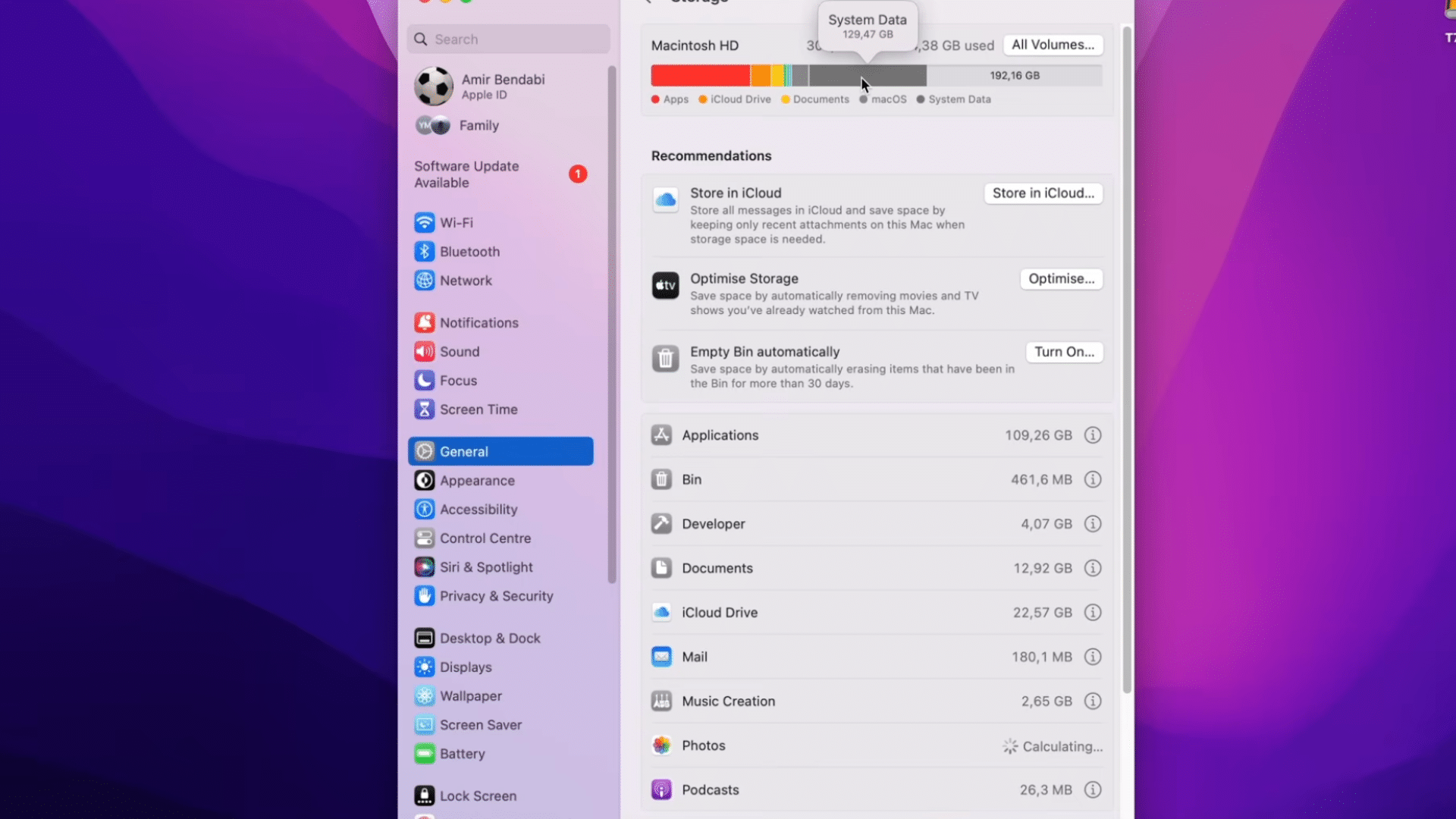 mac storage settings window showing system data usage and storage categories on a purple desktop background