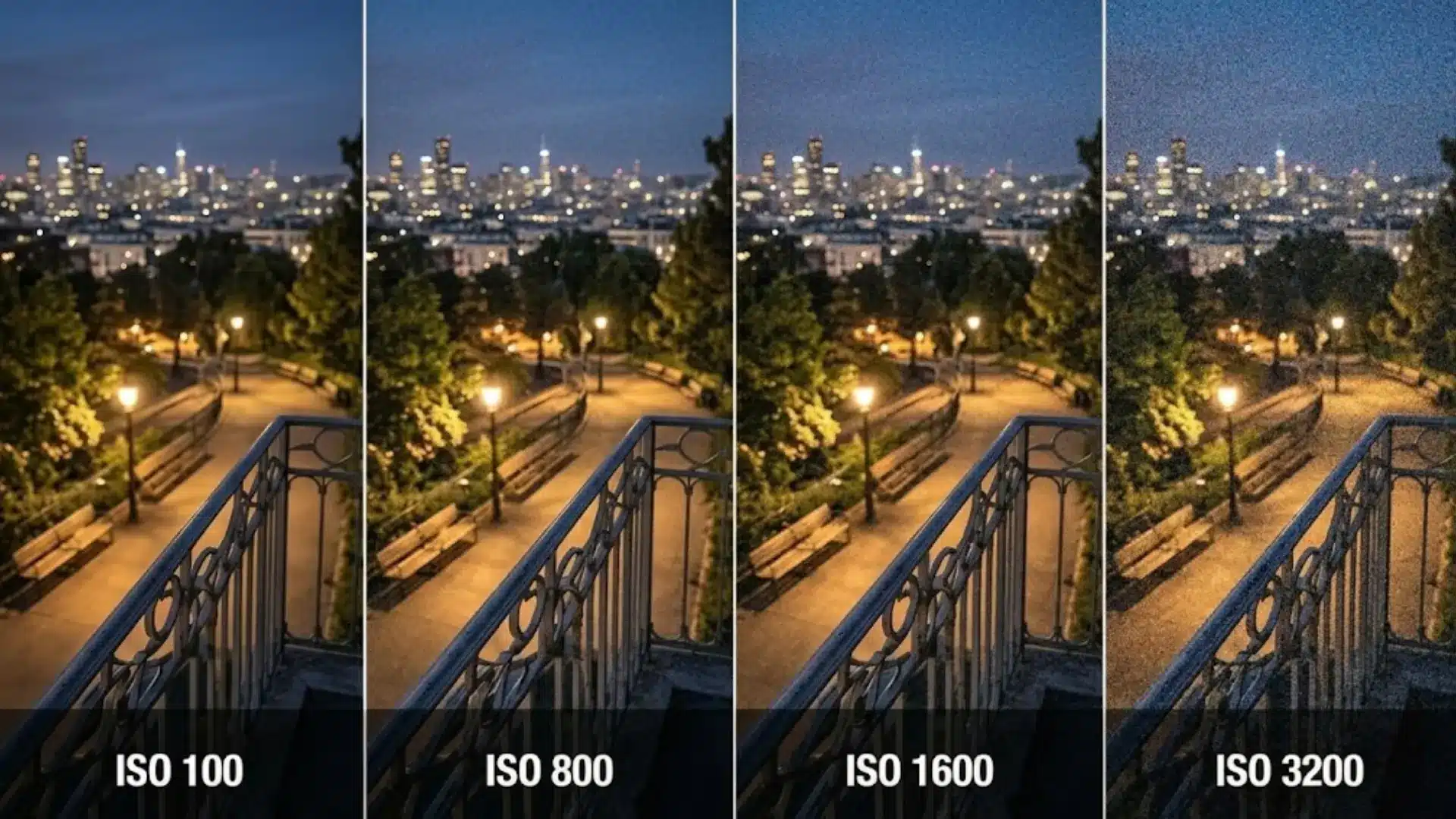 Night photography comparison showing image noise levels from ISO 100 to ISO 3200 in low light conditions