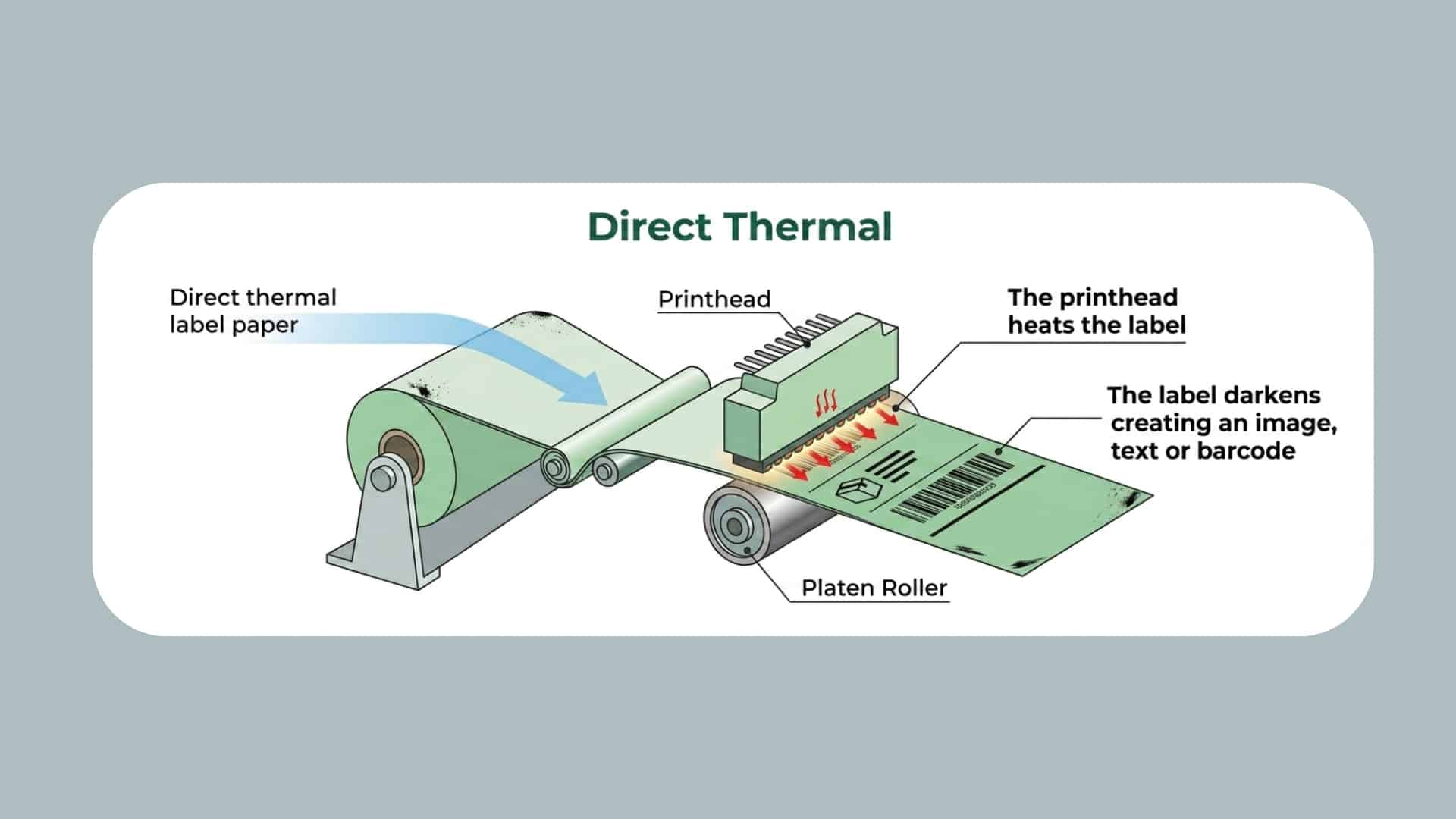 An illustrated diagram of a Direct Thermal printer, detailing how a printhead applies heat directly to sensitive label paper