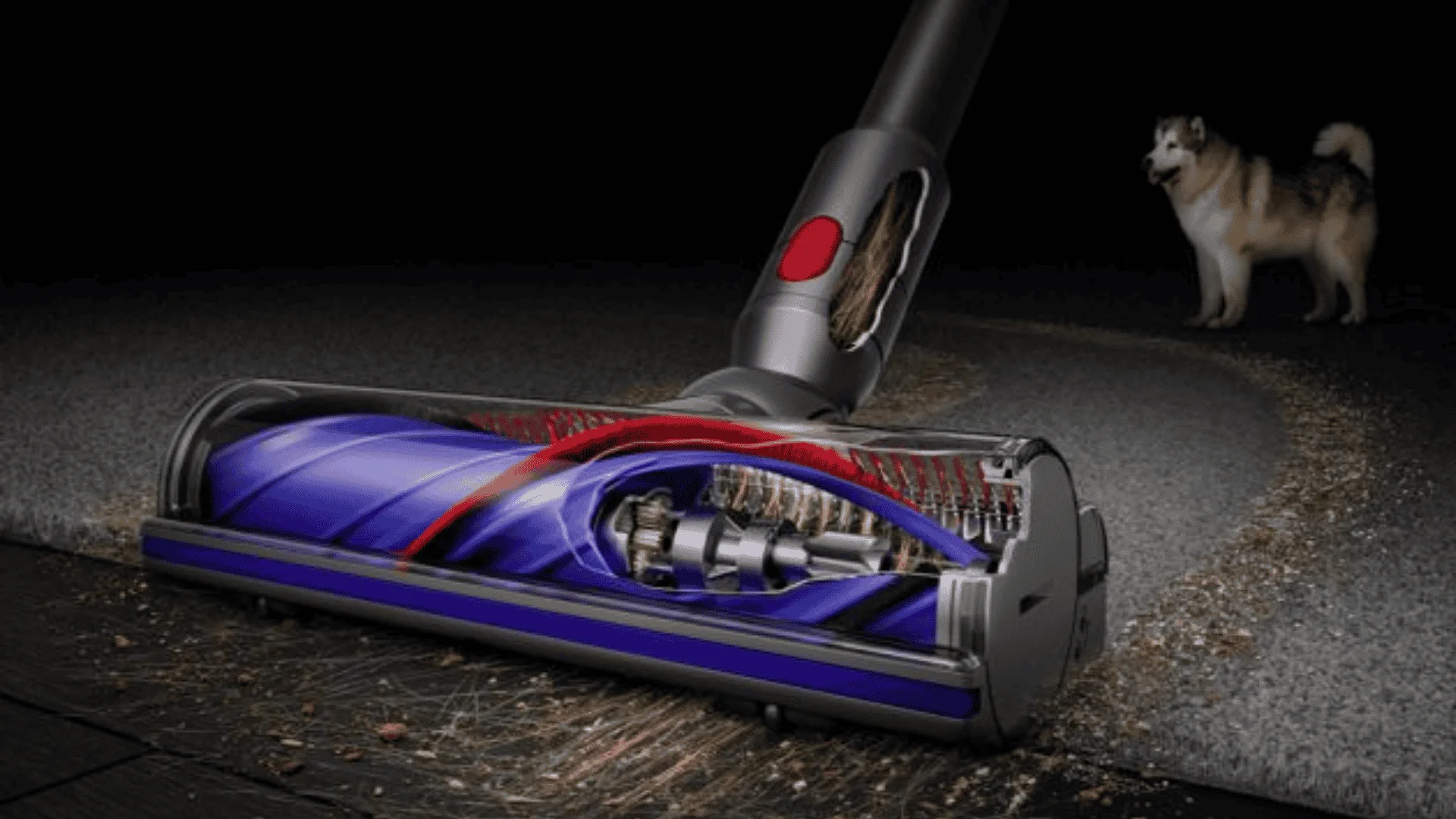 Dyson Motorbar cleaner head with anti tangle brush roll removing pet hair and debris from carpet flooring