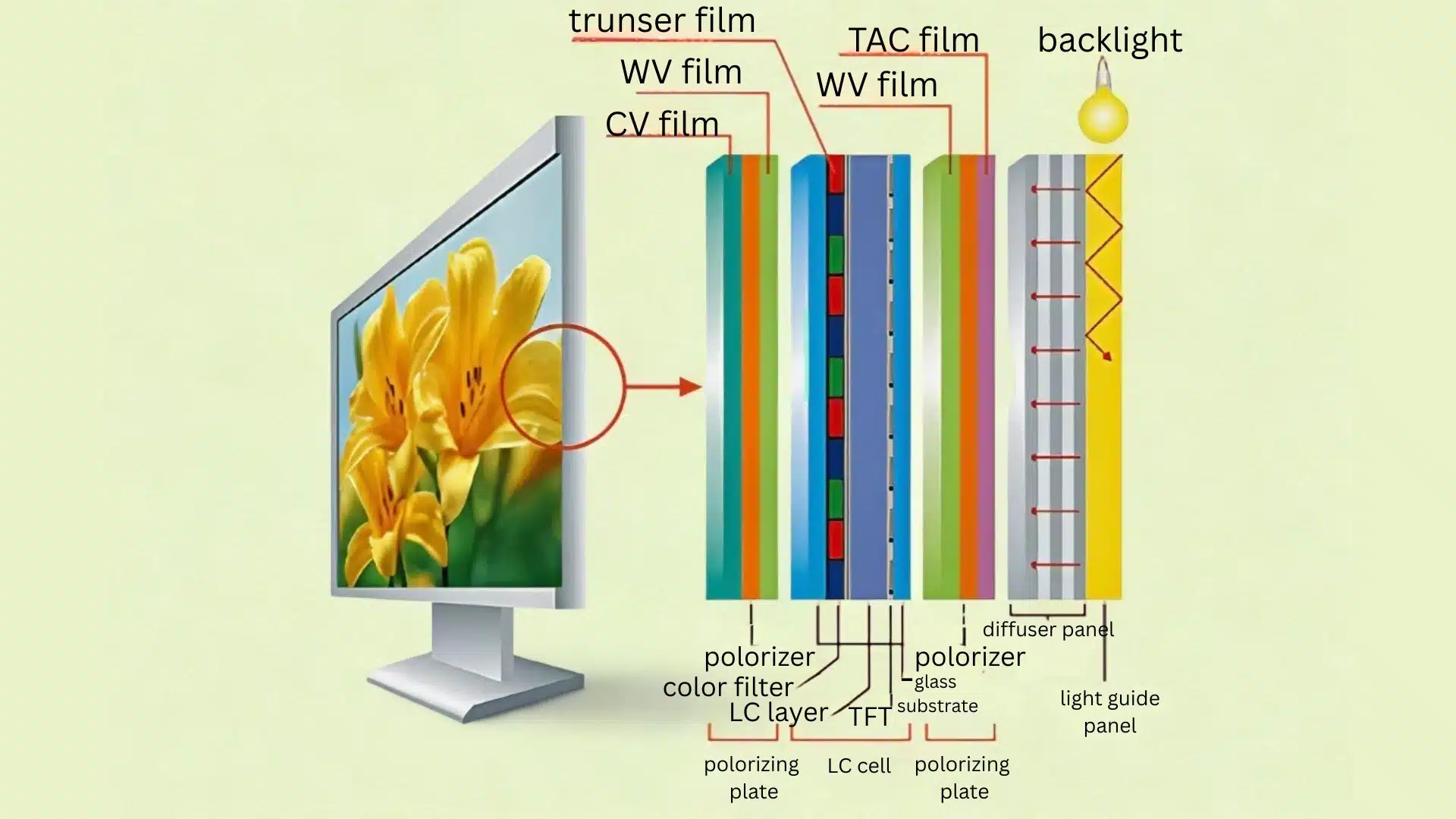 simple diagram explaining how ips monitor panels use liquid crystals to create images