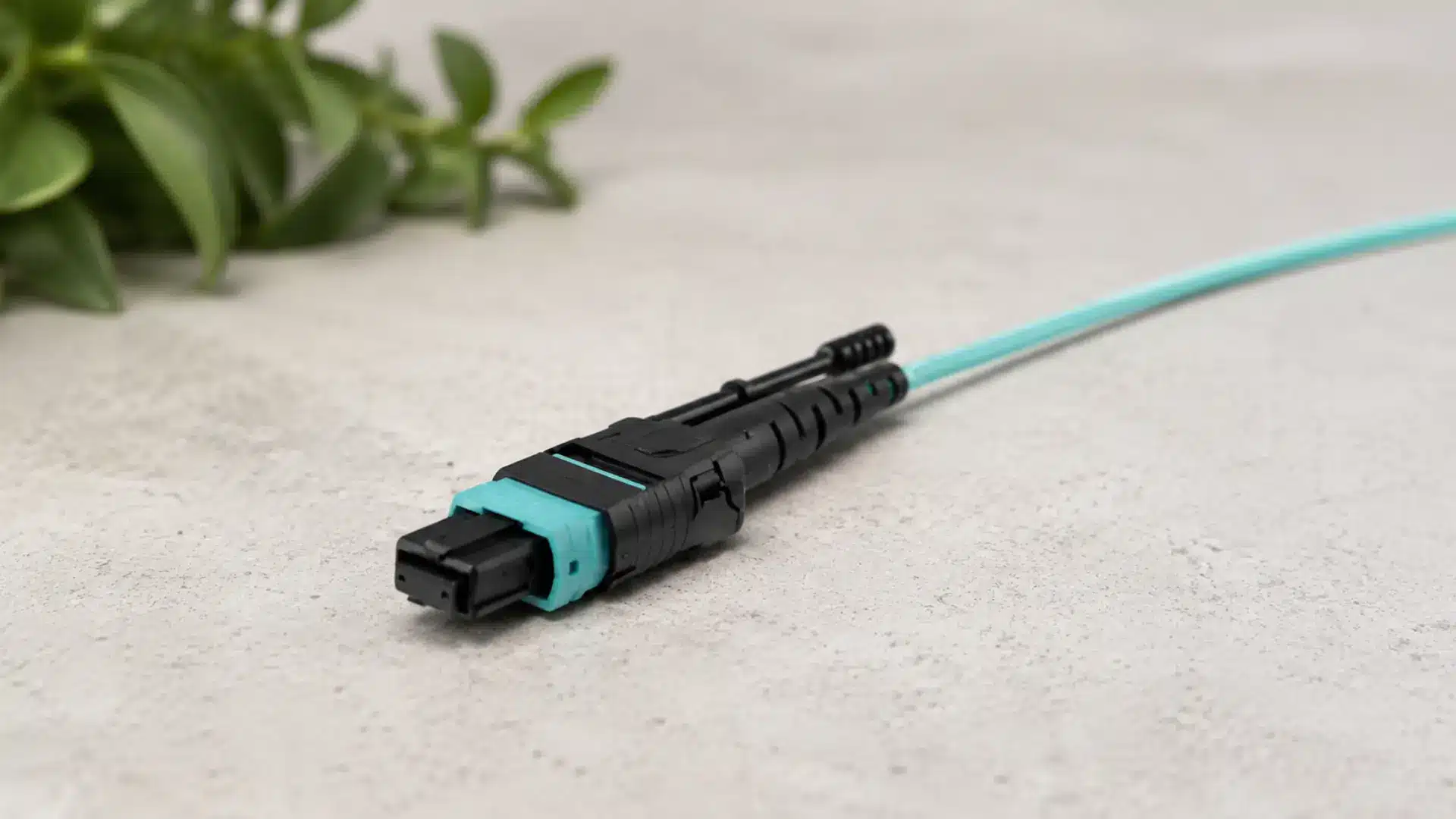 MPO fiber optic connector on a light surface with a blurred natural background