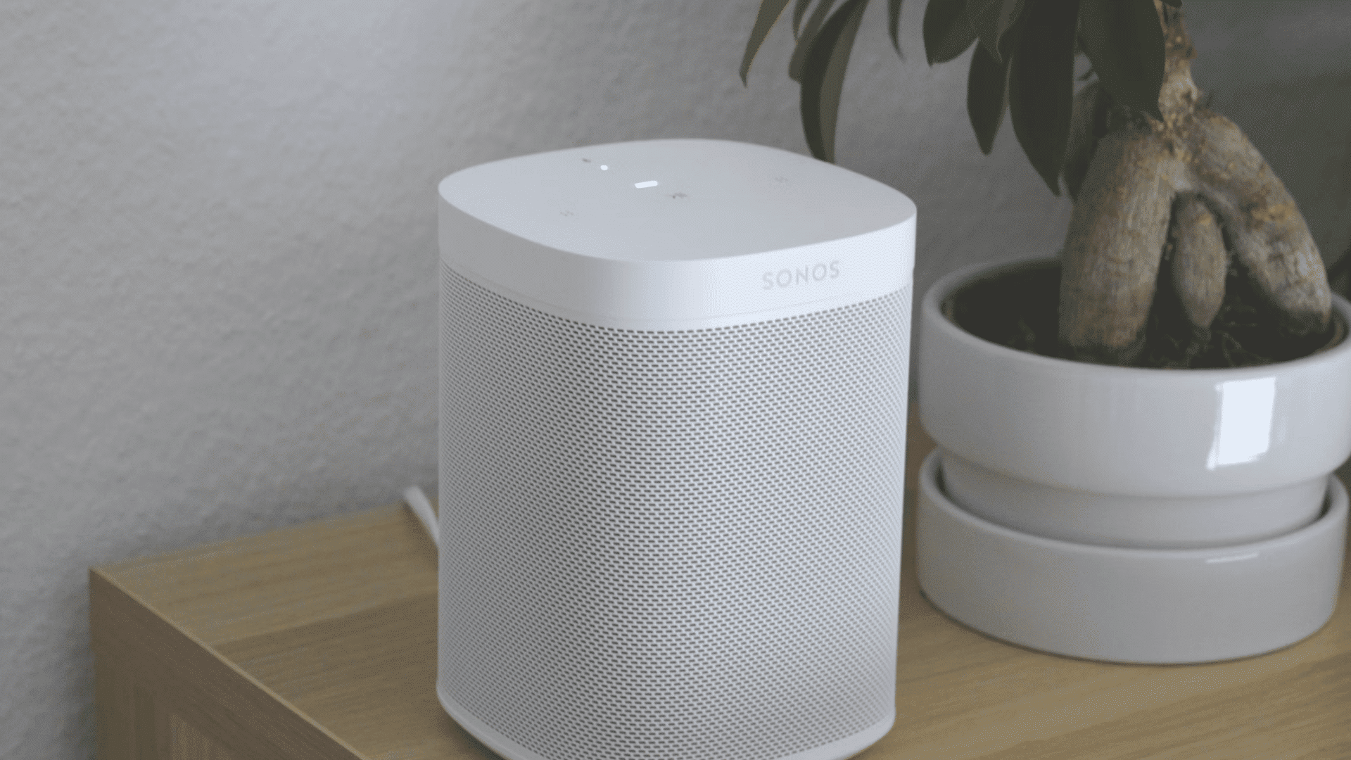white smart speaker placed on a wooden table beside a potted plant in a clean modern interior