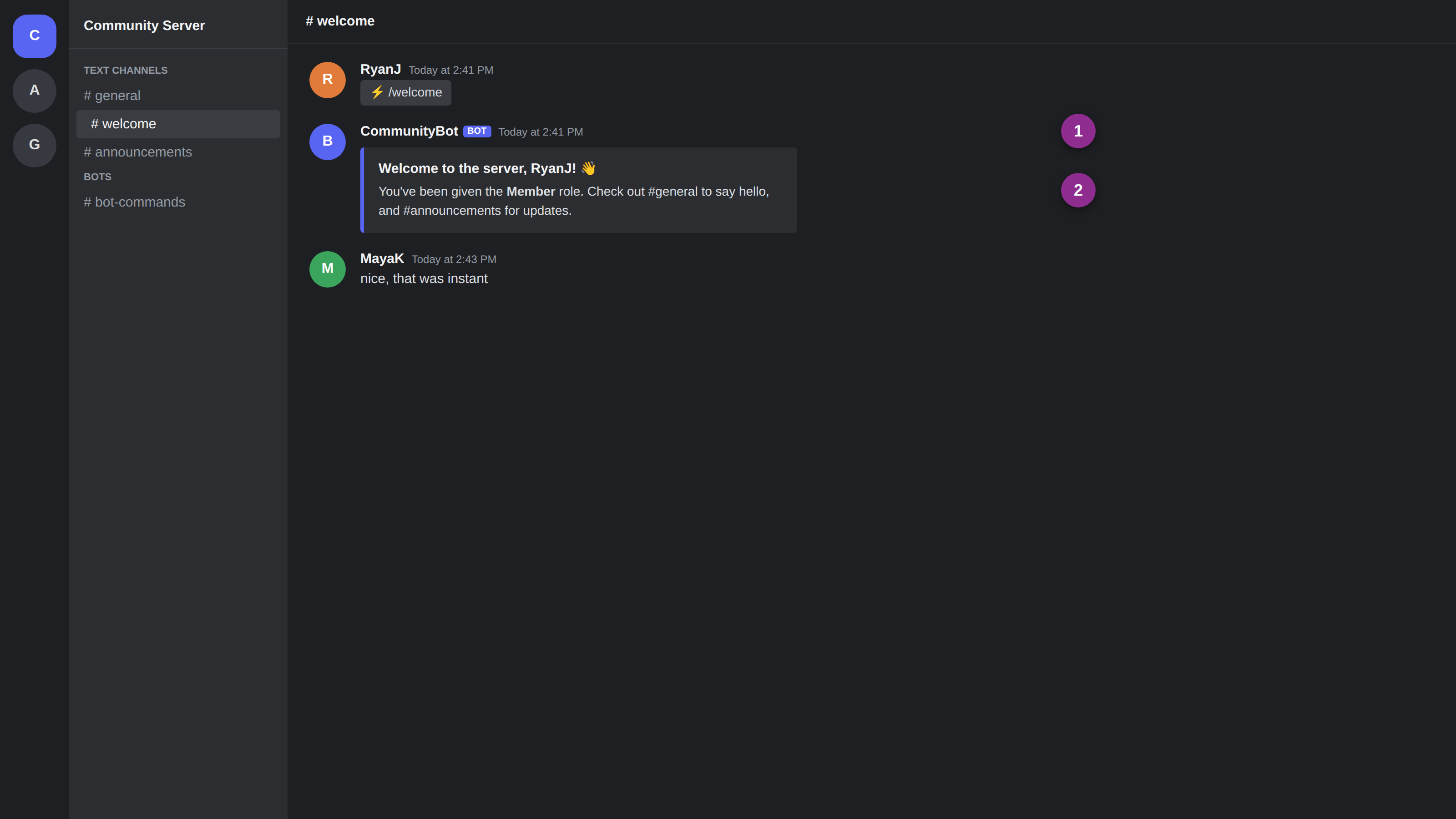 discord server showing automated bot welcome message and successful bot setup