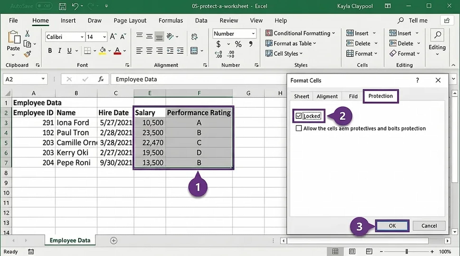 excel worksheet showing selected cells and locked setting enabled in format cells protection tab