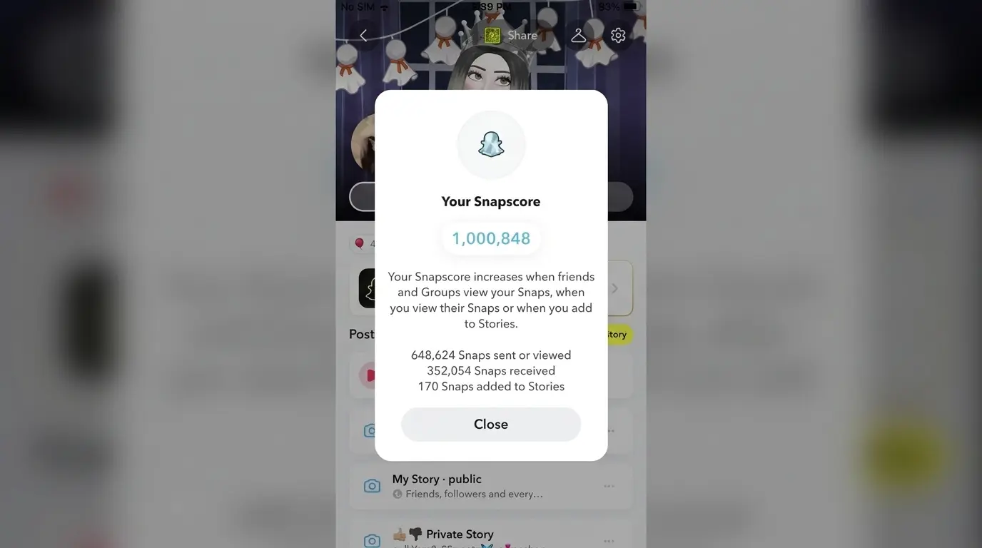 snapchat score screen showing user activity details with snaps sent received and stories added on profile