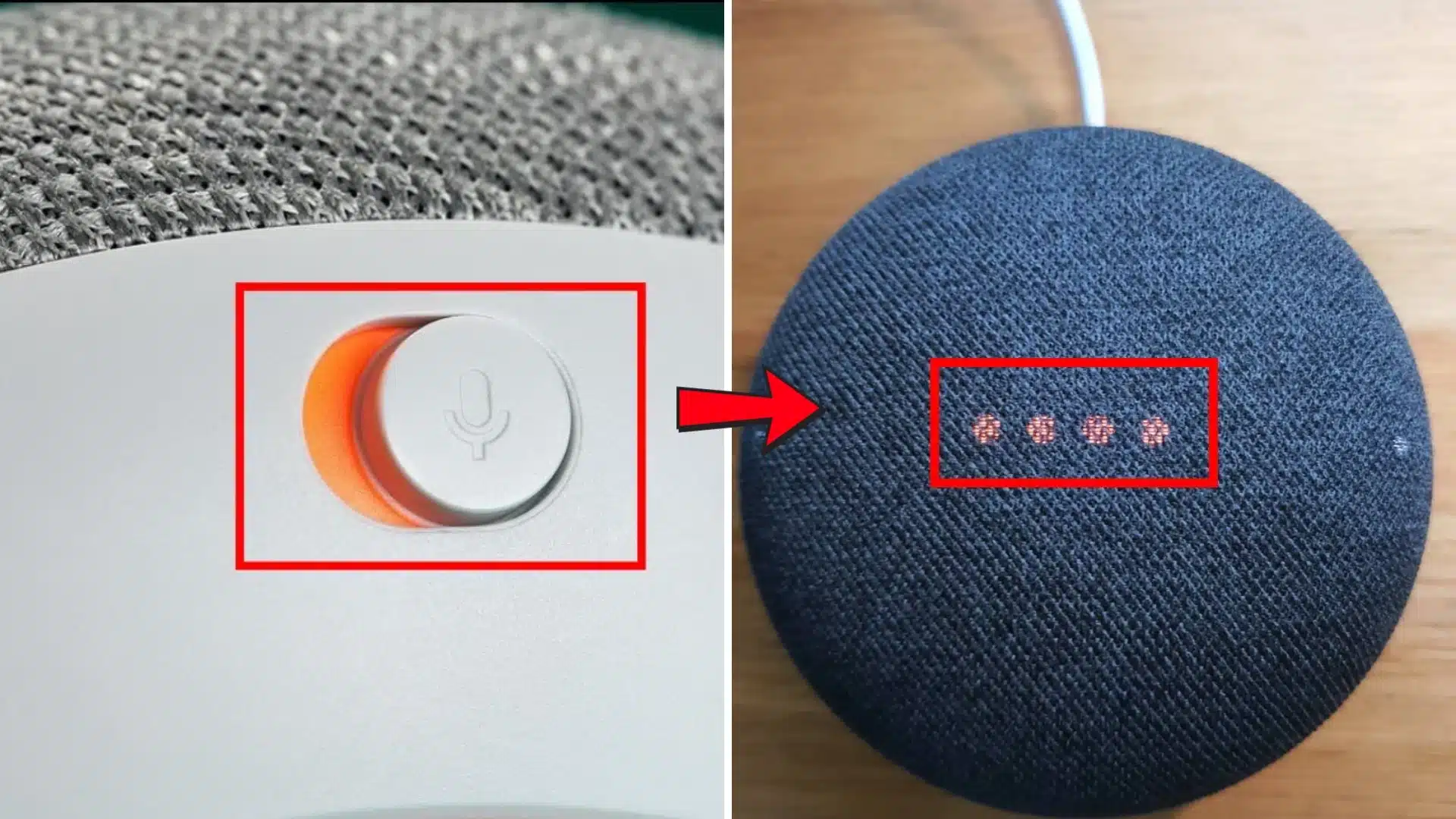 google nest mini second generation showing reset button and four indicator lights
