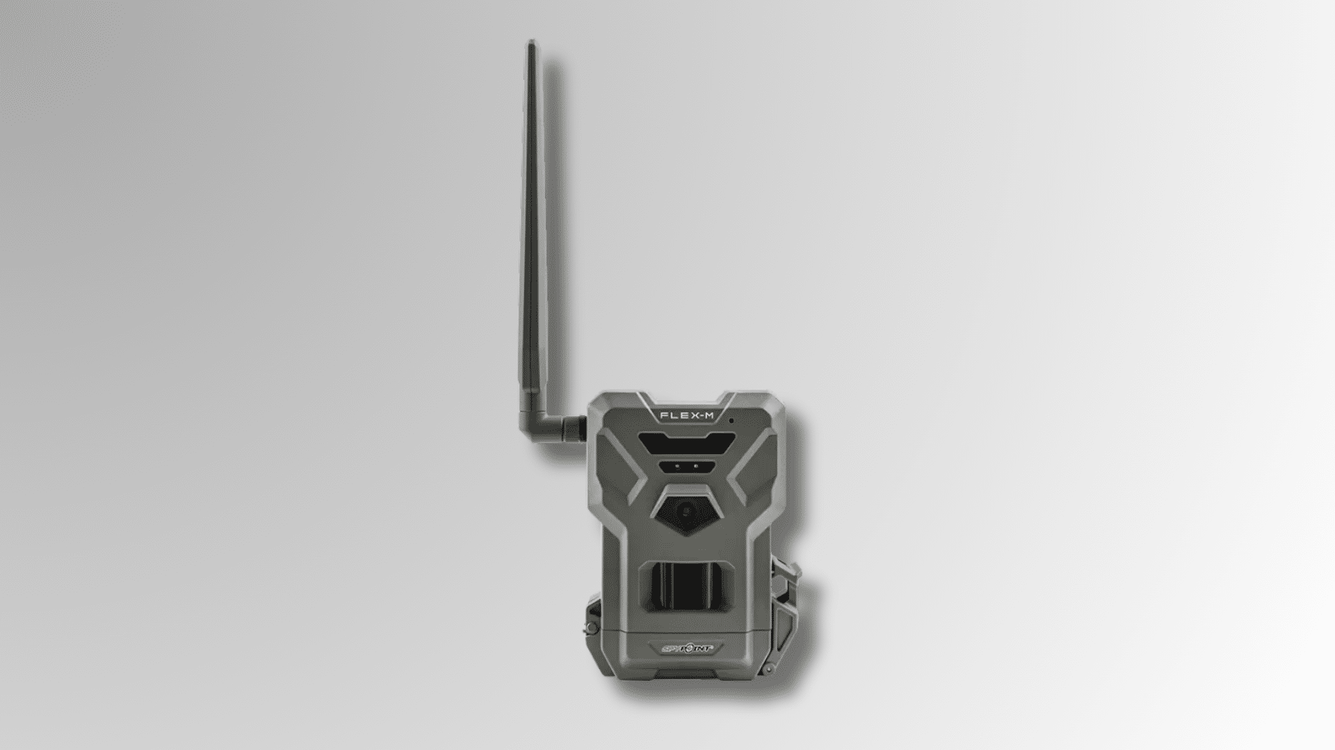 spypoint flex-m cellular trail camera with external antenna and compact wildlife monitoring body